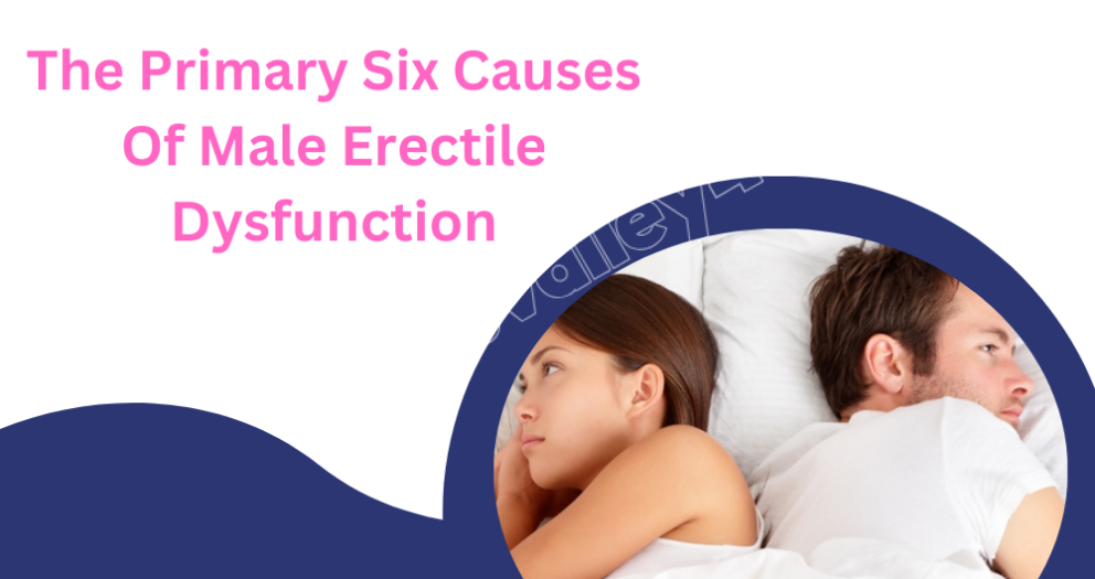 The Primary Six Causes Of Male Erectile Dysfunction (1)