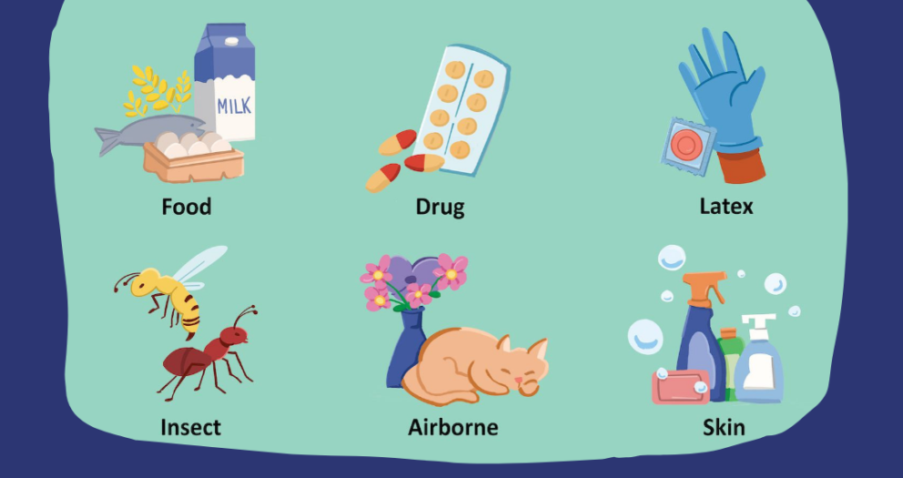 Allergies – Significant Facts You Must Understand.
