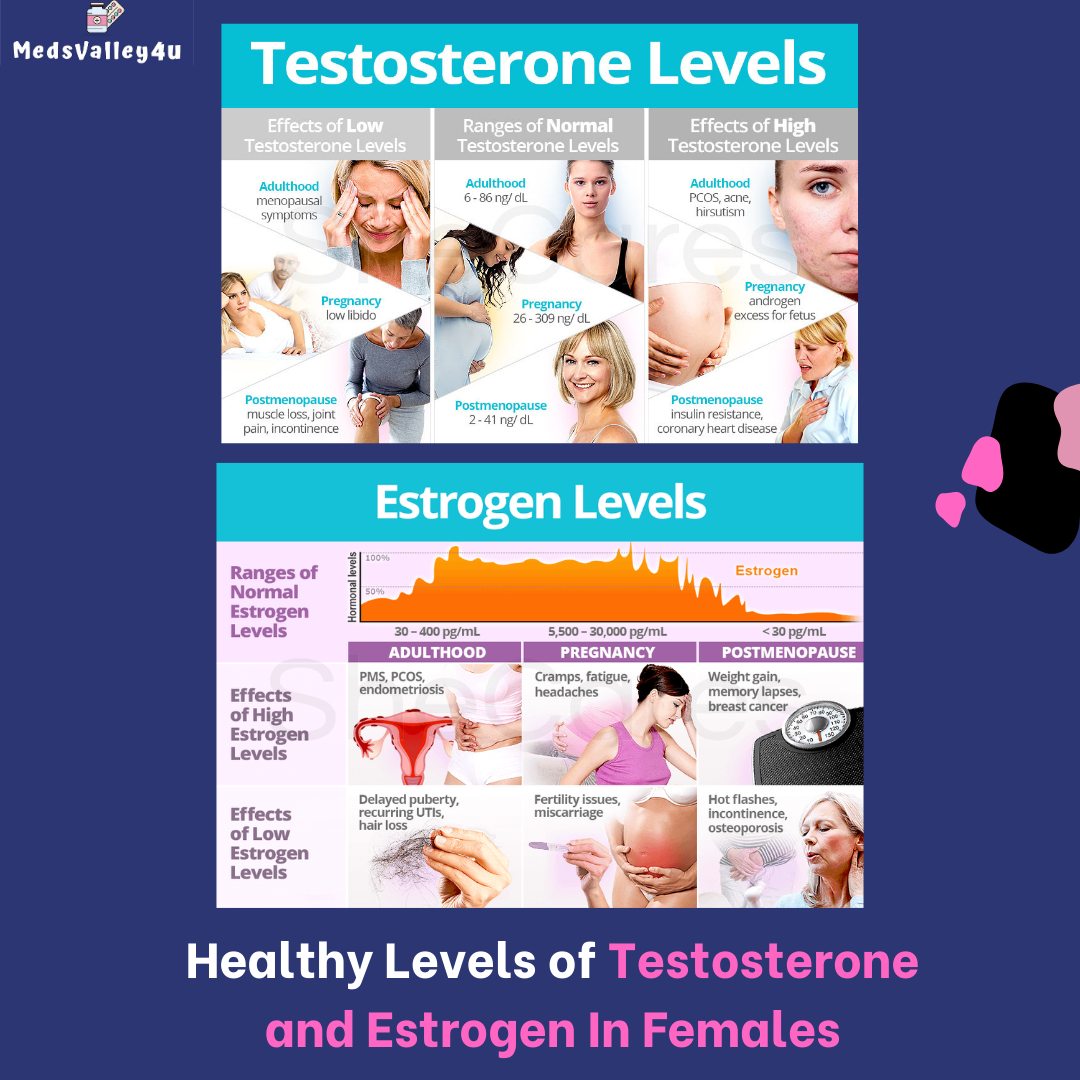 Healthy Levels of Testosterone and Estrogen In Females.